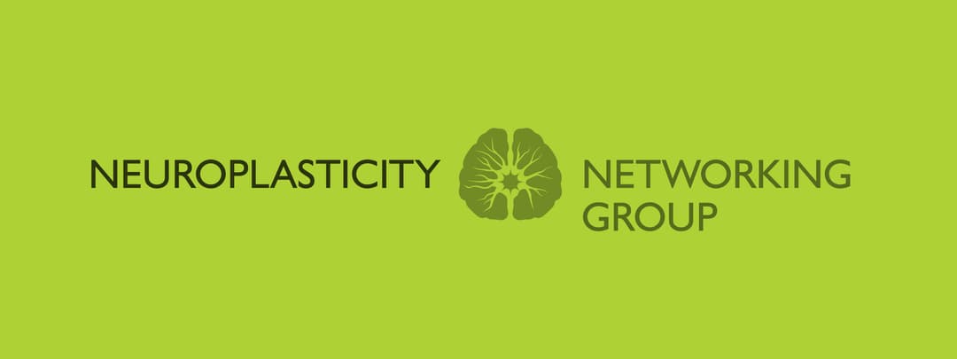Neuroplasticity Networking Group