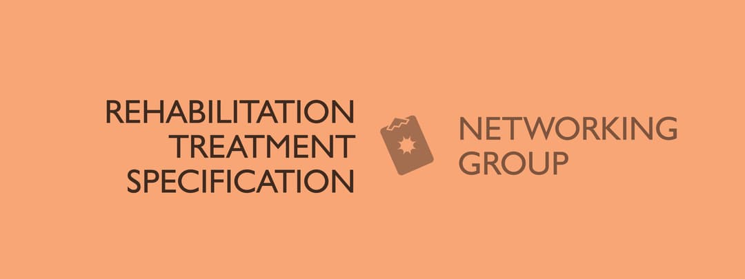 ACRM Rehabilitation Treatment Specification Networking Group RTSNG