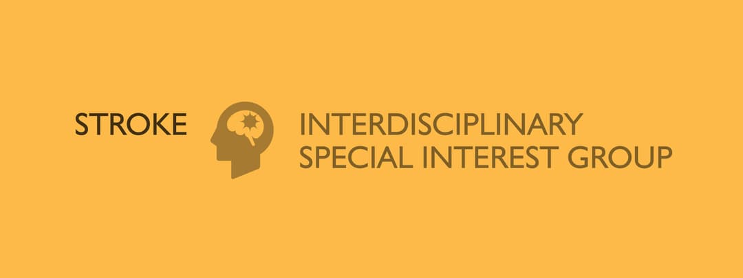 Stroke Interdisciplinary Special Interest Group